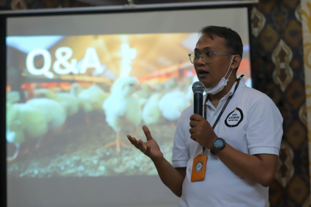 Riset WIP Identifikasi Sejumlah Emiten Resto Cepat Saji Abaikan Prinsip Kesejahteraan Ayam Ternak